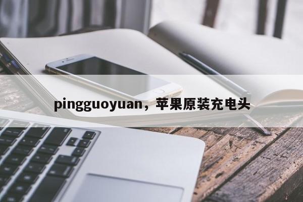 pingguoyuan，苹果原装充电头